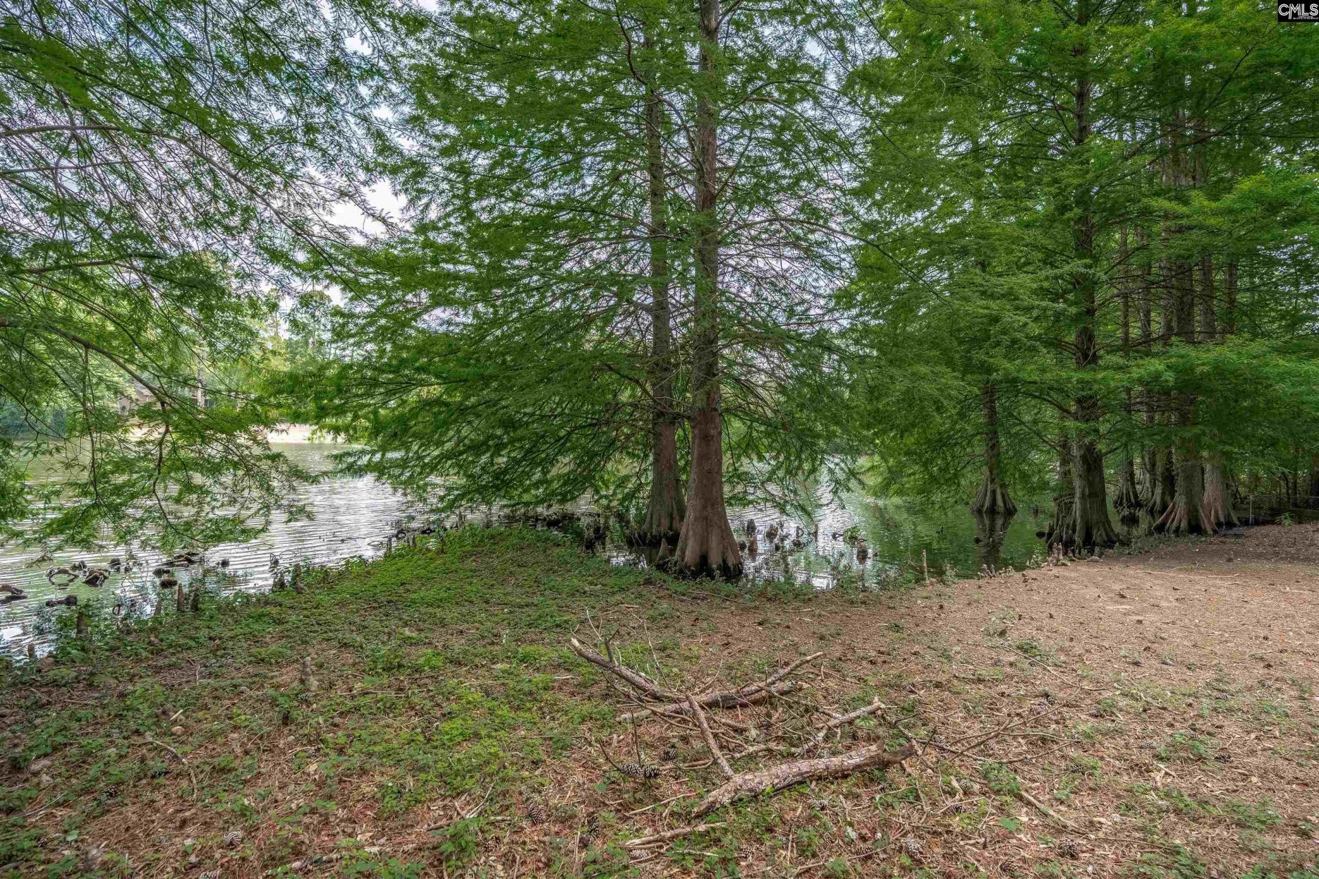 231 Tram Road  Photo 33
