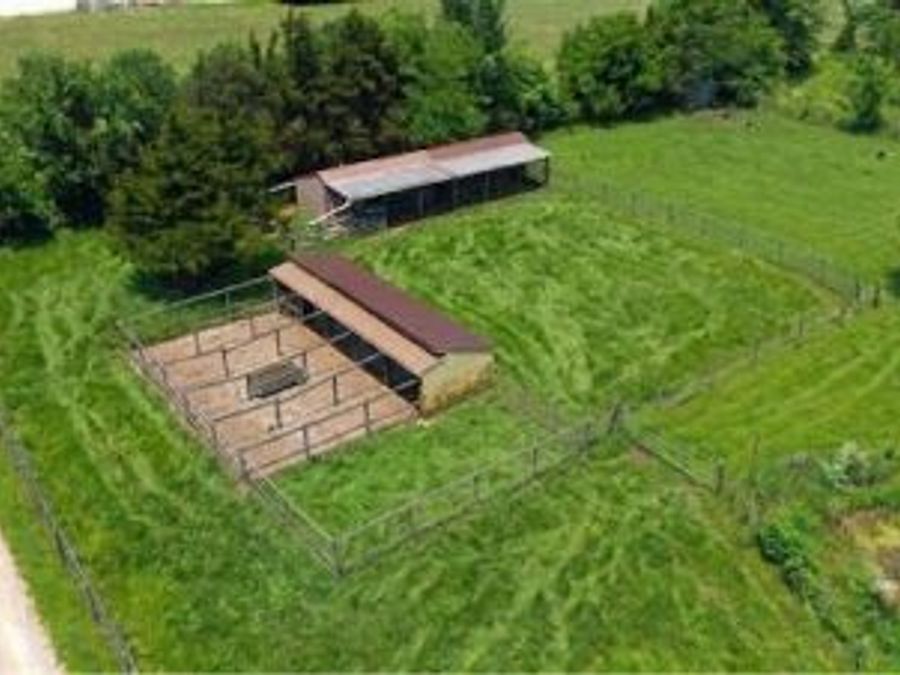 Property Image 52