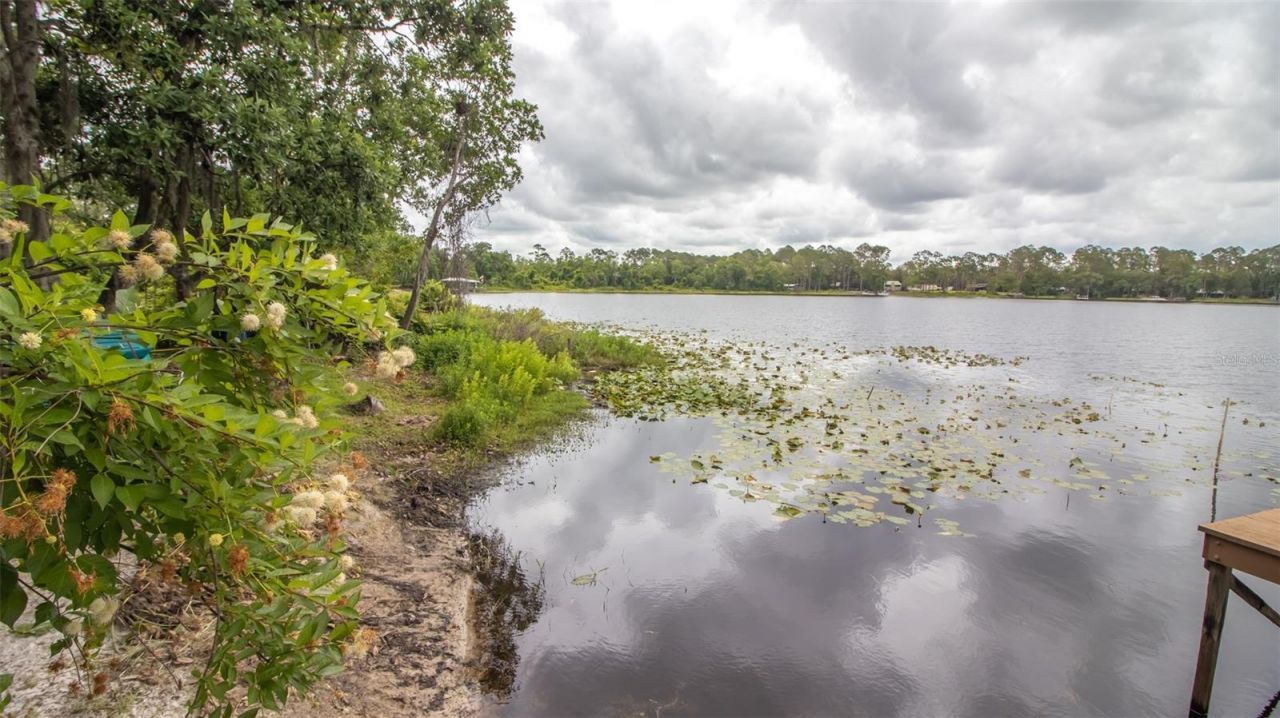 303 Riley Lake Drive, Hawthorne, FL 32640 Photo