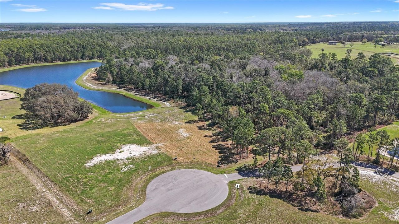 20280 Shoreline Ranch Lane, Umatilla, FL 32784 Photo