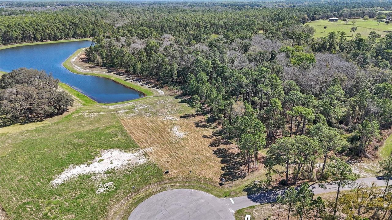20280 Shoreline Ranch Lane, Umatilla, FL 32784 Photo