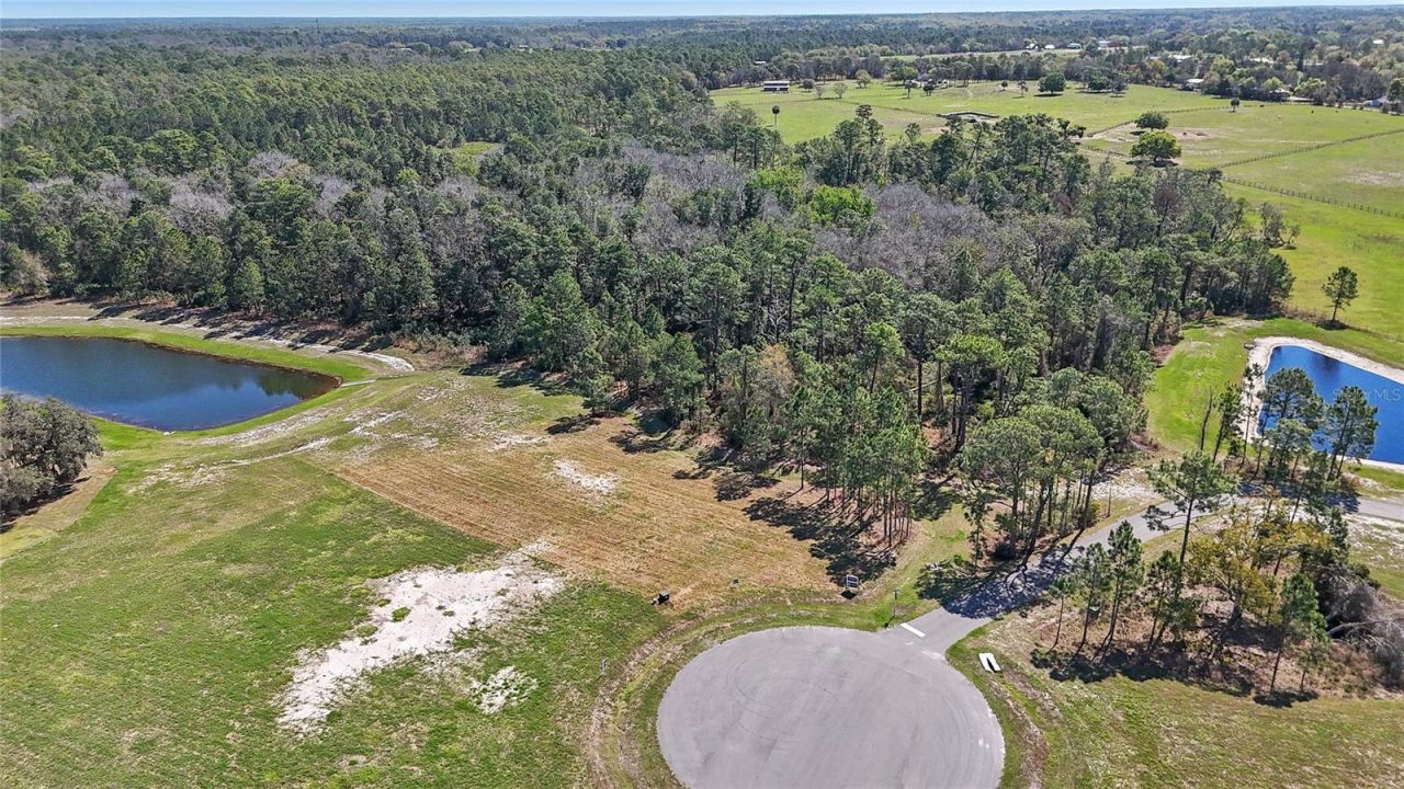 20280 Shoreline Ranch Lane, Umatilla, FL 32784 Photo