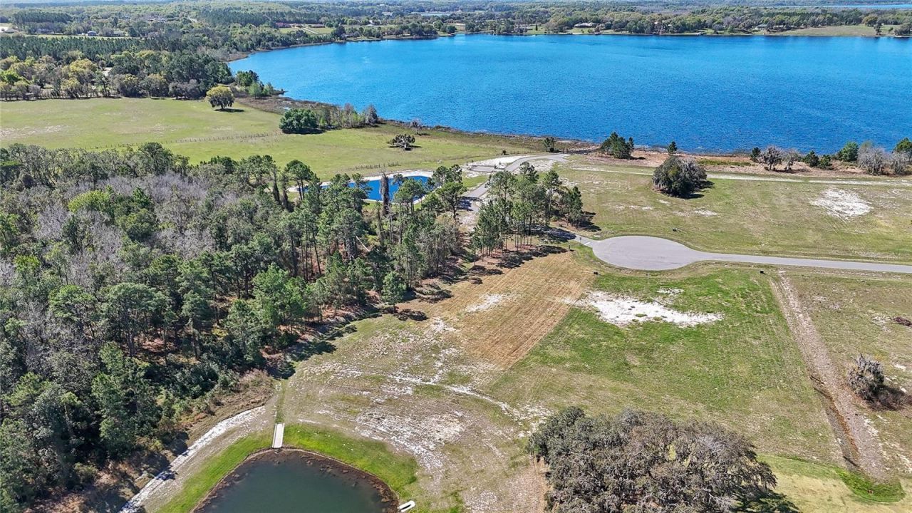 20280 Shoreline Ranch Lane, Umatilla, FL 32784 Photo