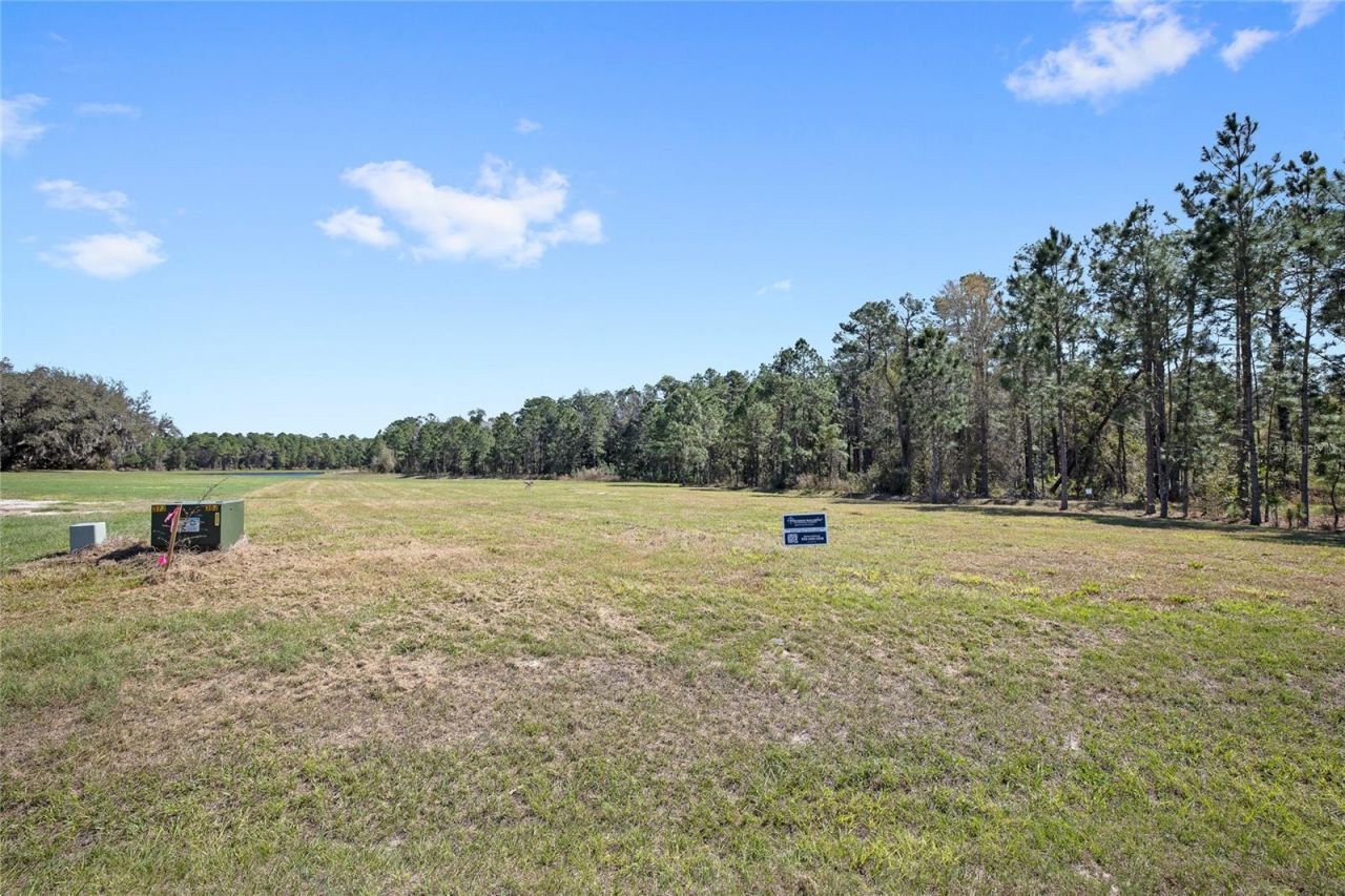 20280 Shoreline Ranch Lane, Umatilla, FL 32784 Photo
