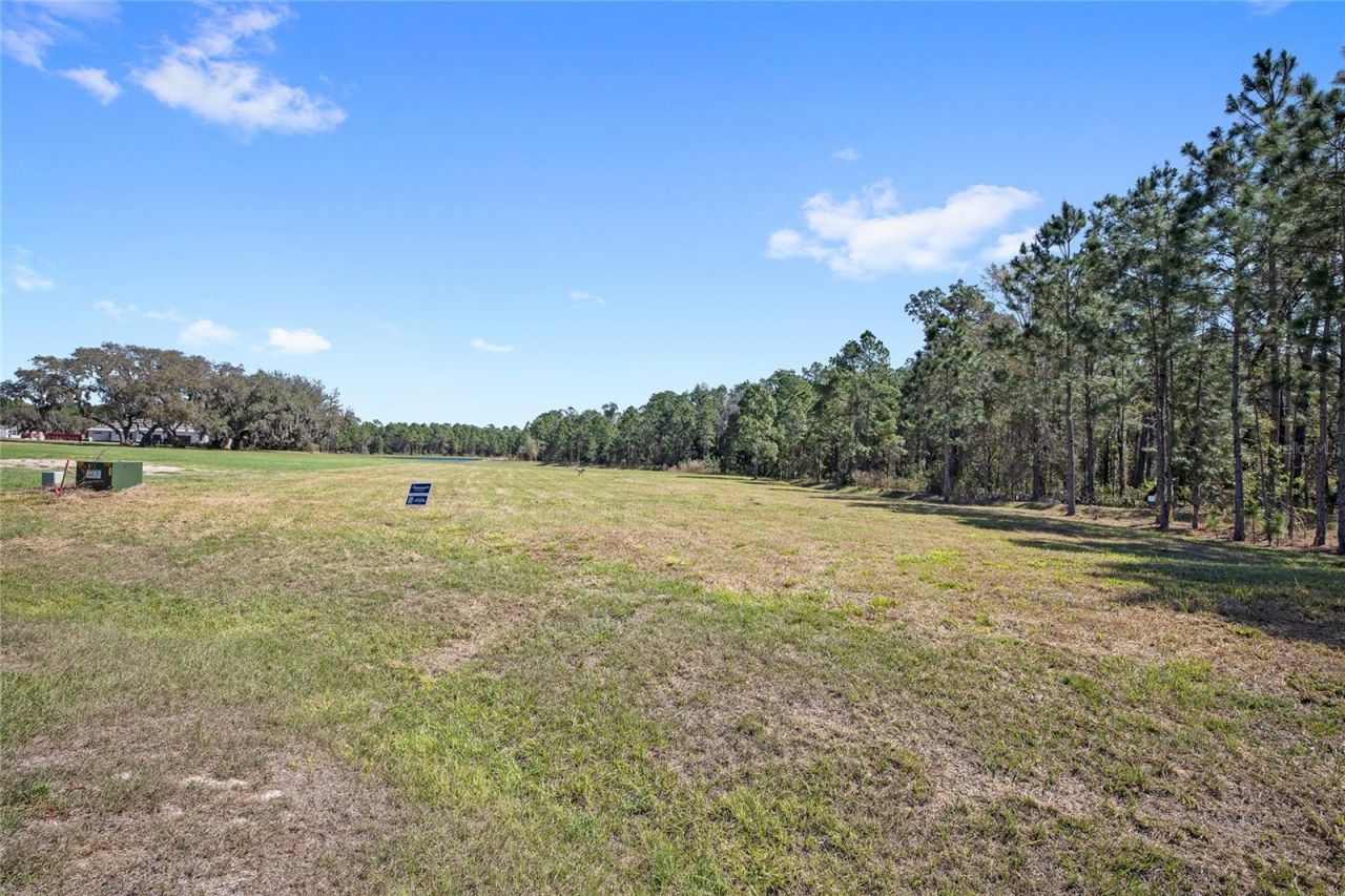 20280 Shoreline Ranch Lane, Umatilla, FL 32784 Photo