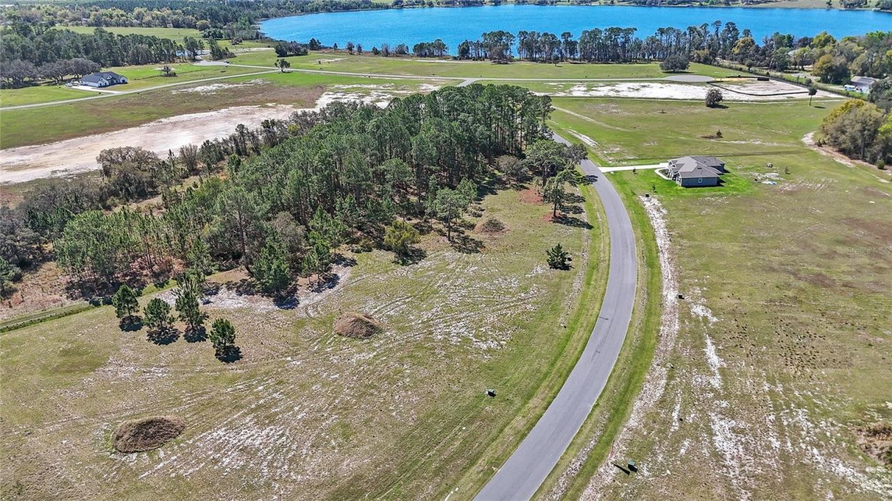 38514 Wooded Meadow Drive , Umatilla, FL 32784 Photo