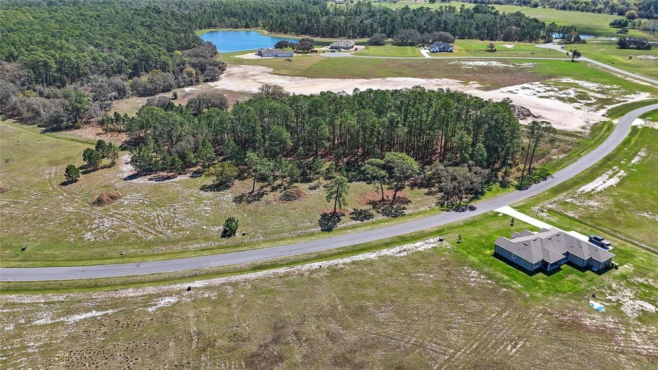 38514 Wooded Meadow Drive , Umatilla, FL 32784 Photo