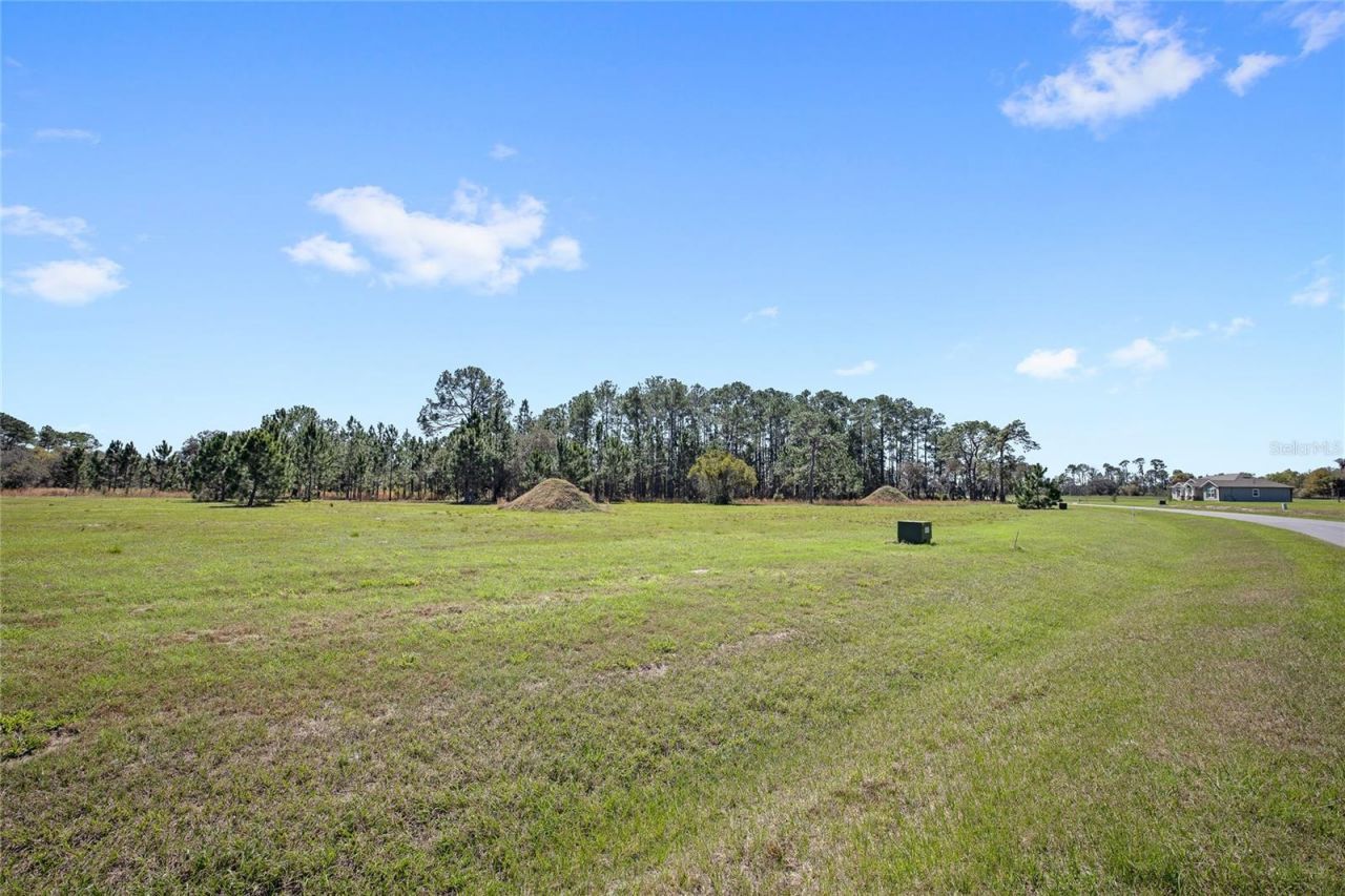 38514 Wooded Meadow Drive , Umatilla, FL 32784 Photo