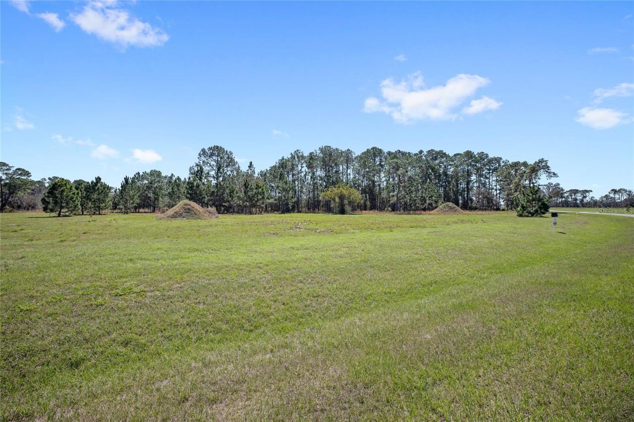 38514 Wooded Meadow Drive , Umatilla, FL 32784 Photo