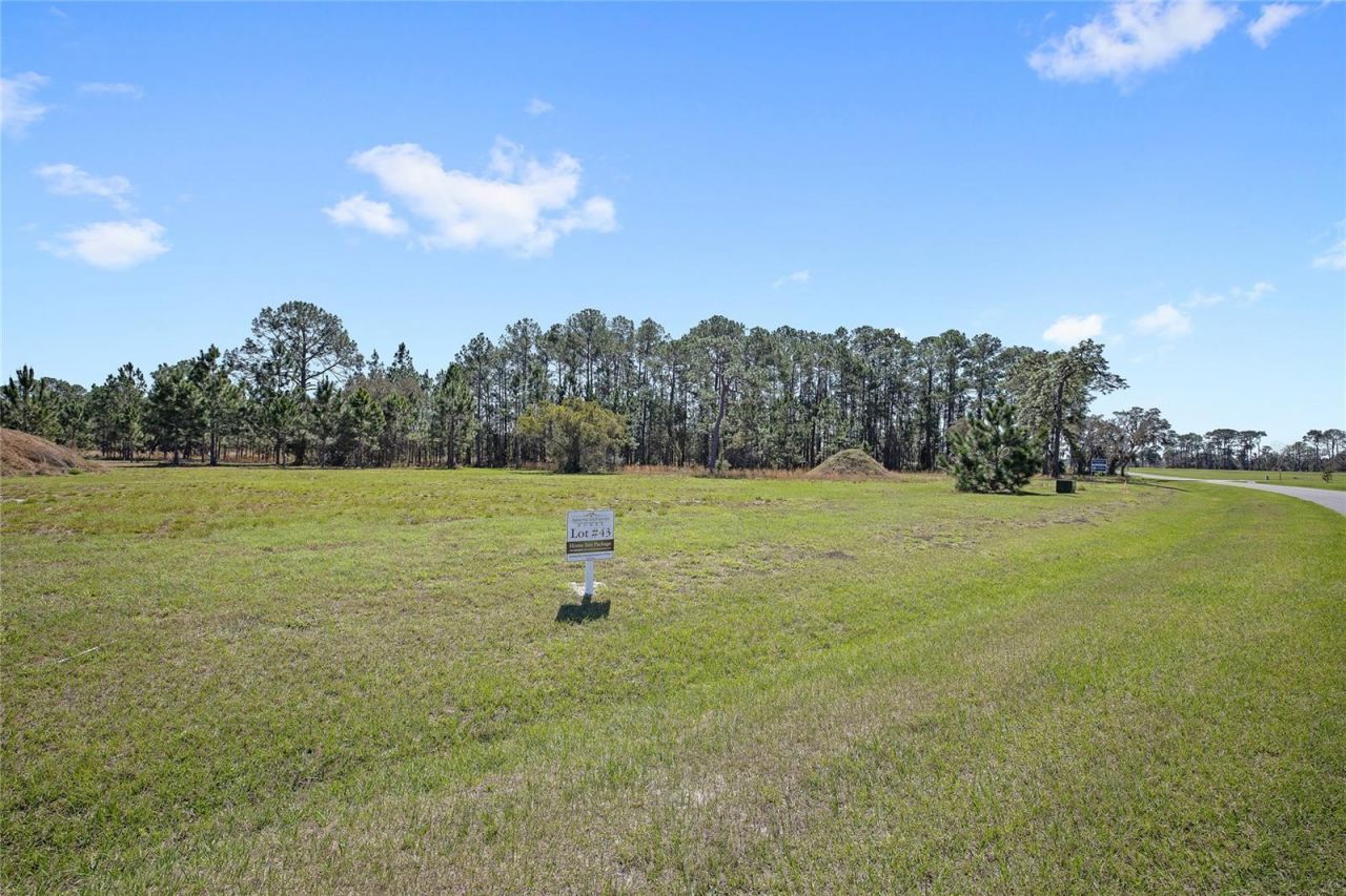 38514 Wooded Meadow Drive , Umatilla, FL 32784 Photo