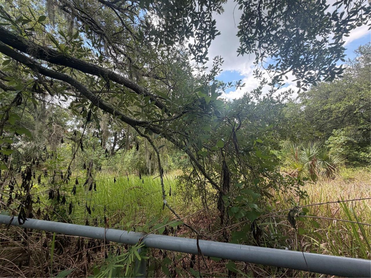 4447 Edwards Rd , Plant City, FL 33567 Photo