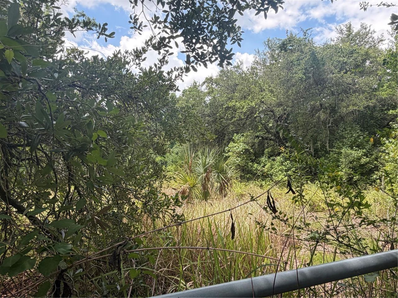 4447 Edwards Rd , Plant City, FL 33567 Photo
