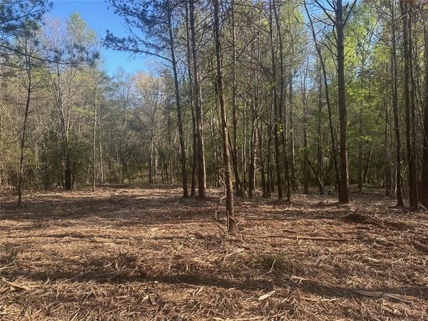 00 Lee Mashburn Road , Dahlonega, GA 30533