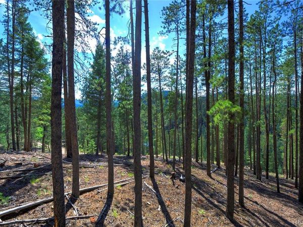 6824 Lynx Lair Road , Evergreen, CO 80439