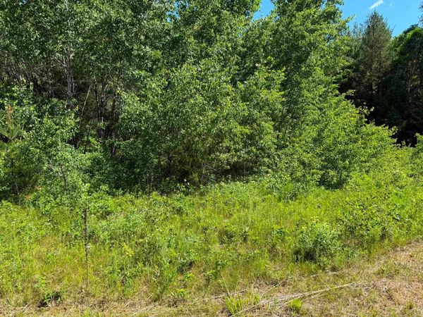 2 Acres County Road C, Arkdale, WI 54613