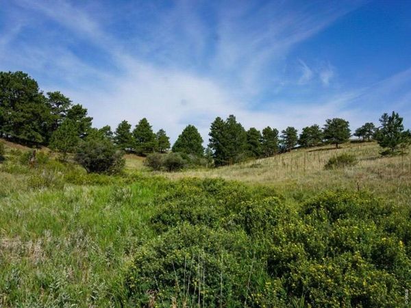 0 Stub Ct, Livermore, CO 80536
