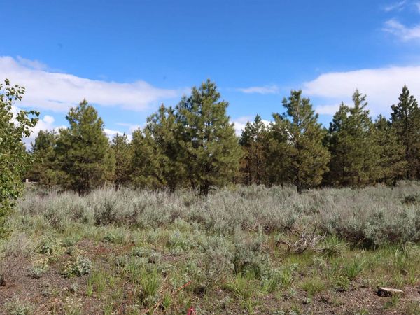 7 Bitterroot Ct, McCall, ID 83638