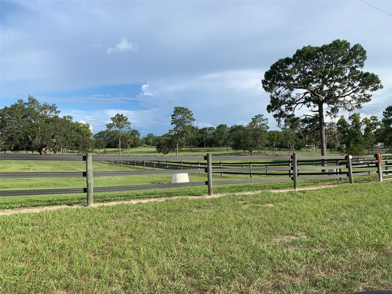 4807 W Pinto Loop , Beverly Hills, FL 34465 Photo