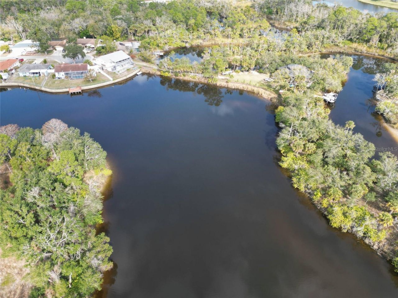 0 Berry Hill Road , Holiday, FL 34690 Photo