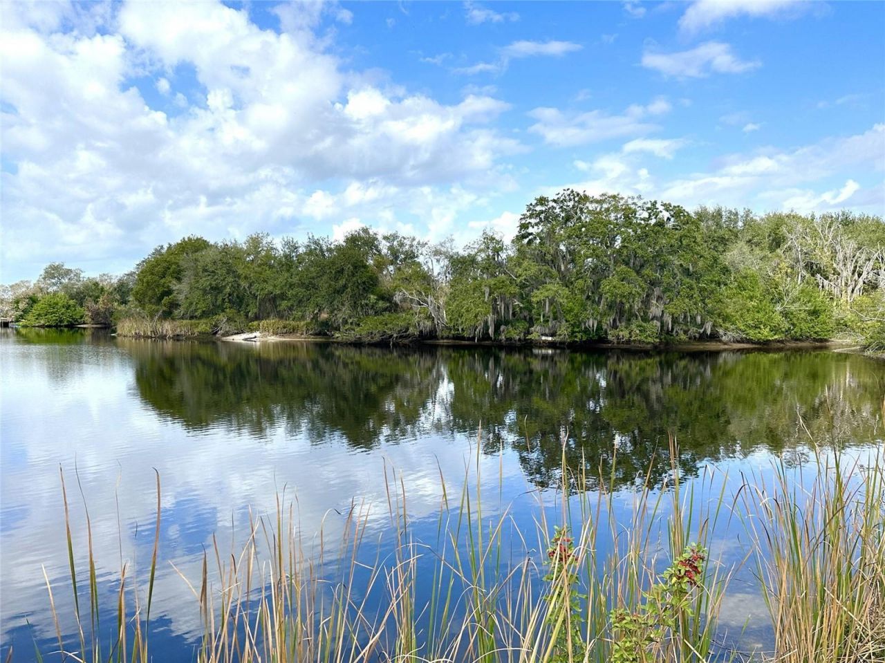 0 Berry Hill Road , Holiday, FL 34690 Photo