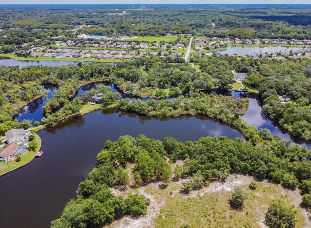 0 Berry Hill Road , Holiday, FL 34690 Photo