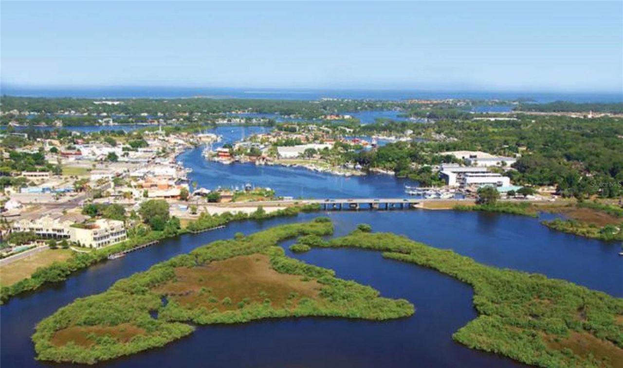 0 Berry Hill Road , Holiday, FL 34690 Photo