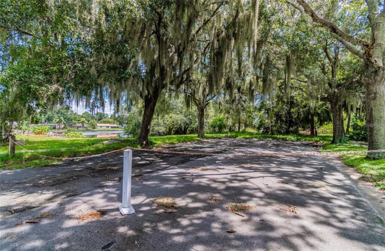 0 Berry Hill Road , Holiday, FL 34690 Photo