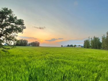 XXX Frenzel Drive , Arlington, MN 55307