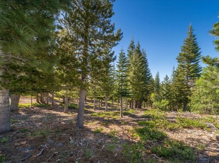 15573 Glacier Way, Truckee, CA 96161 Photo