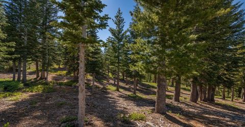 15573 Glacier Way, Truckee, CA 96161 Photo