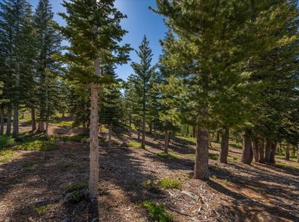 15573 Glacier Way, Truckee, CA 96161 Photo