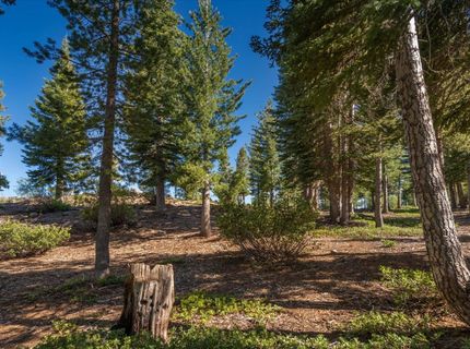 15573 Glacier Way, Truckee, CA 96161 Photo