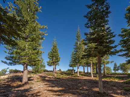 15573 Glacier Way, Truckee, CA 96161 Photo