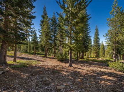 15573 Glacier Way, Truckee, CA 96161 Photo