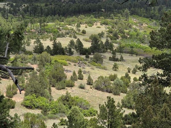 County Road 15, Florence, CO 81226