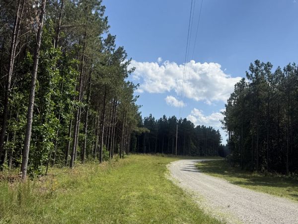 251 Fox Ridge Rd , Unit 15A, Hohenwald, TN 38462