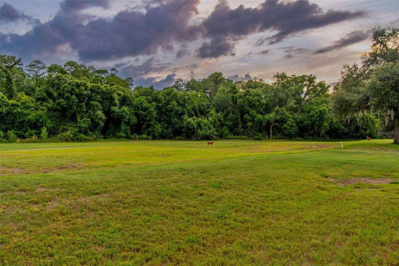 438 Tall Oak Trail , Tarpon Springs, FL 34688 Photo