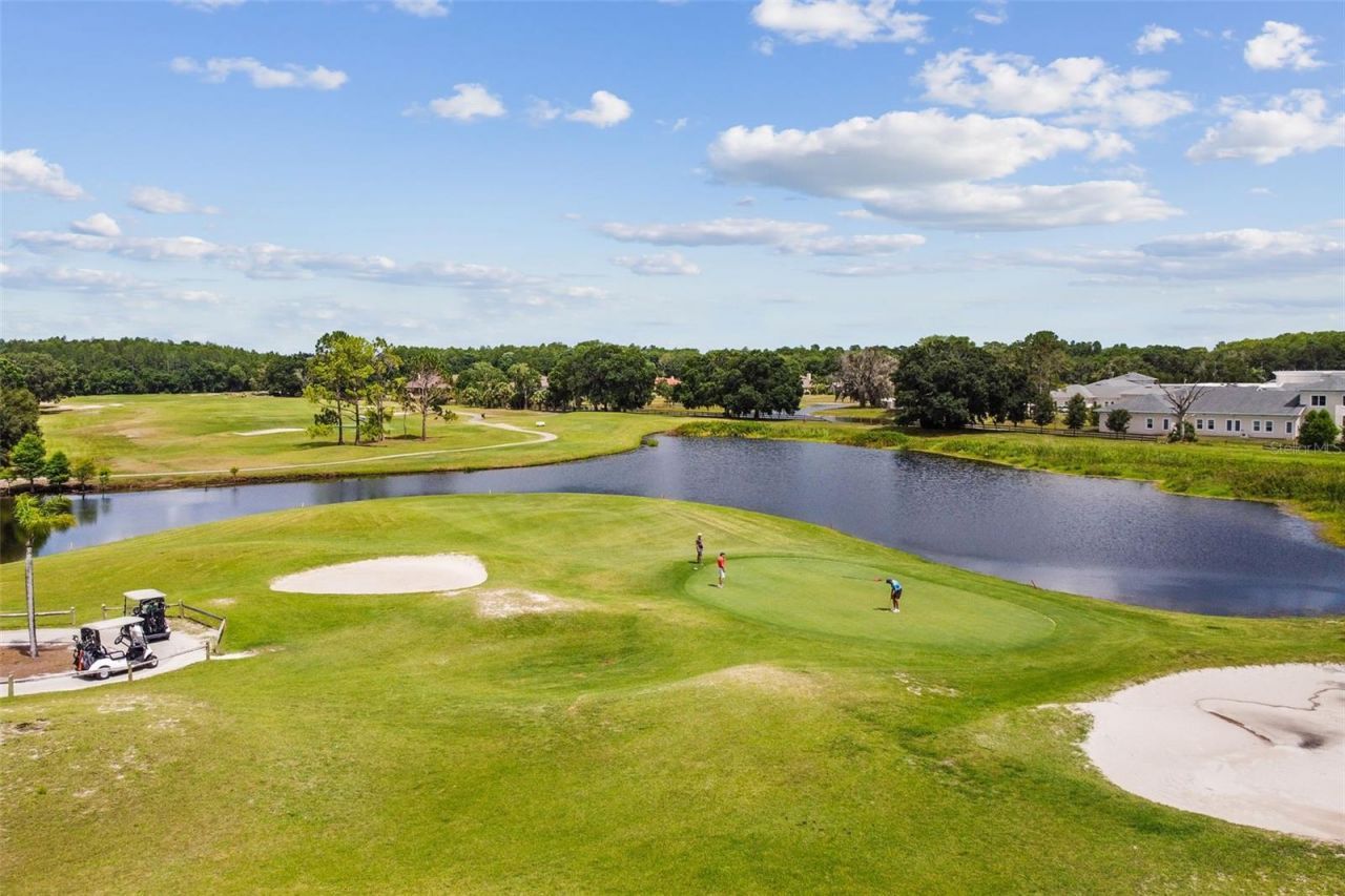 438 Tall Oak Trail , Tarpon Springs, FL 34688 Photo