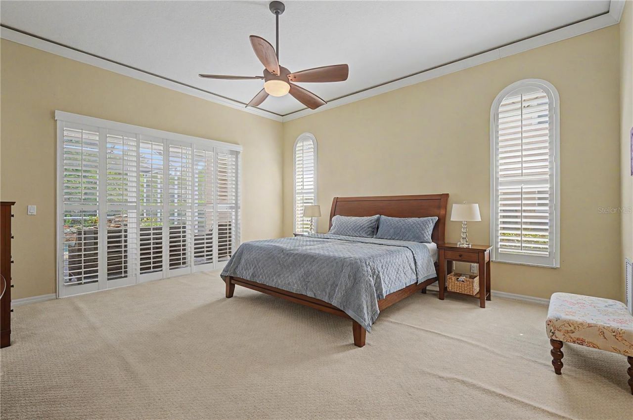 1319 Forestedge Boulevard, Oldsmar, FL 34677 Photo