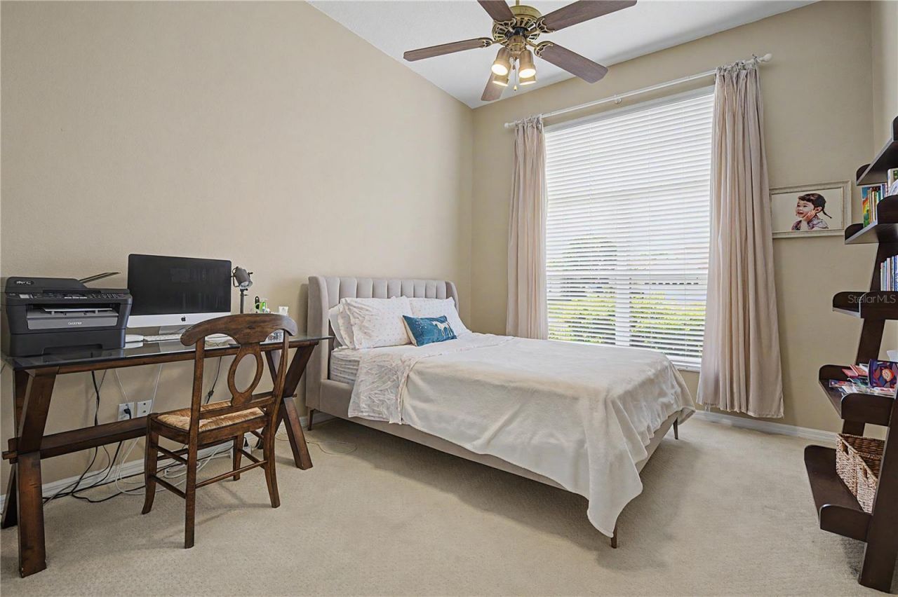 1319 Forestedge Boulevard, Oldsmar, FL 34677 Photo