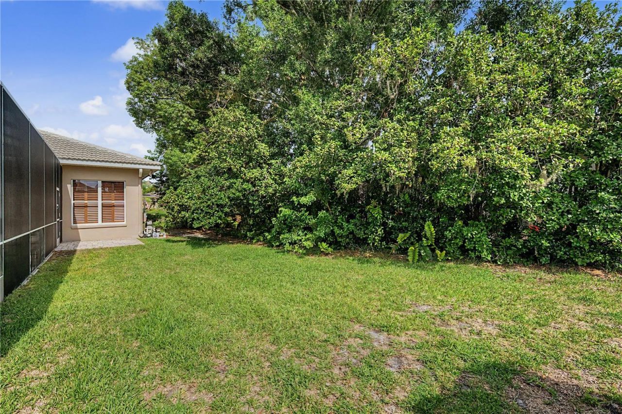 1319 Forestedge Boulevard, Oldsmar, FL 34677 Photo