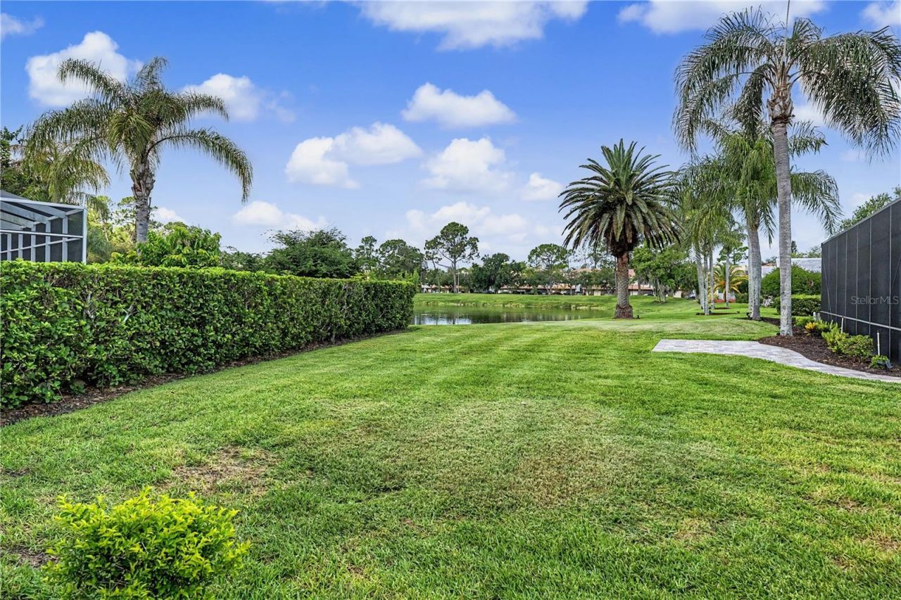 1319 Forestedge Boulevard, Oldsmar, FL 34677 Photo