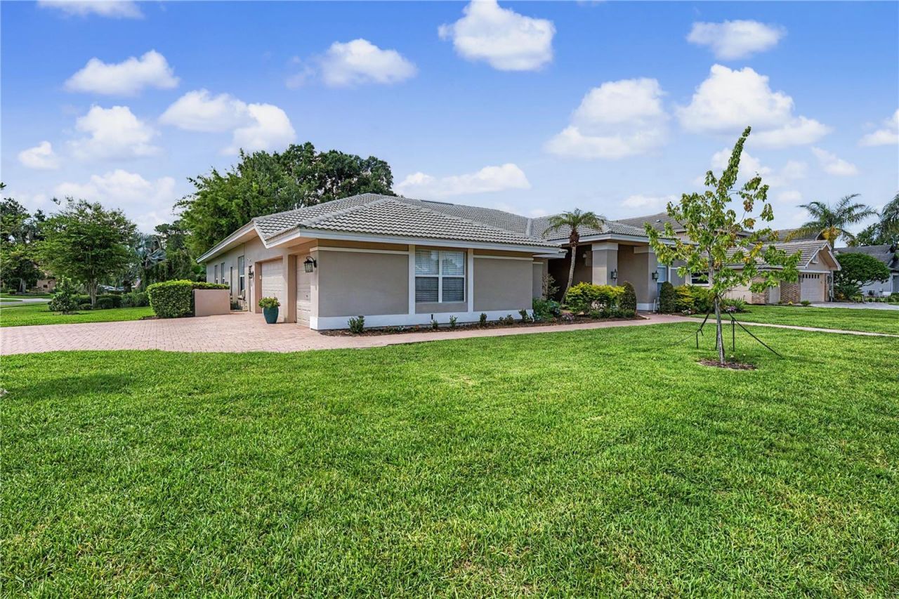 1319 Forestedge Boulevard, Oldsmar, FL 34677 Photo
