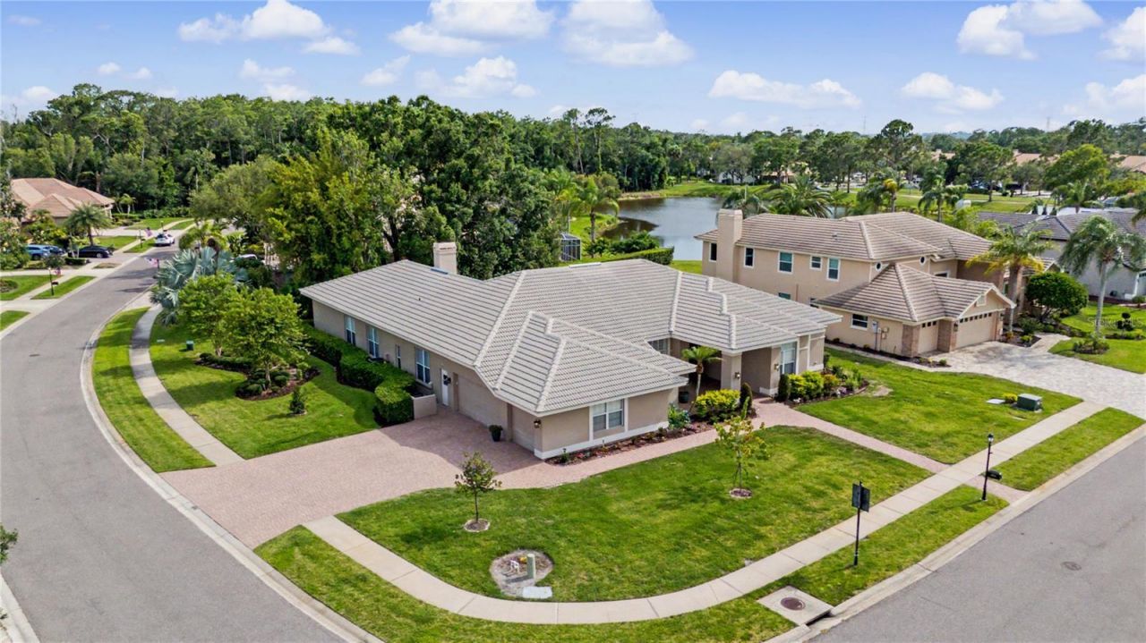 1319 Forestedge Boulevard, Oldsmar, FL 34677 Photo