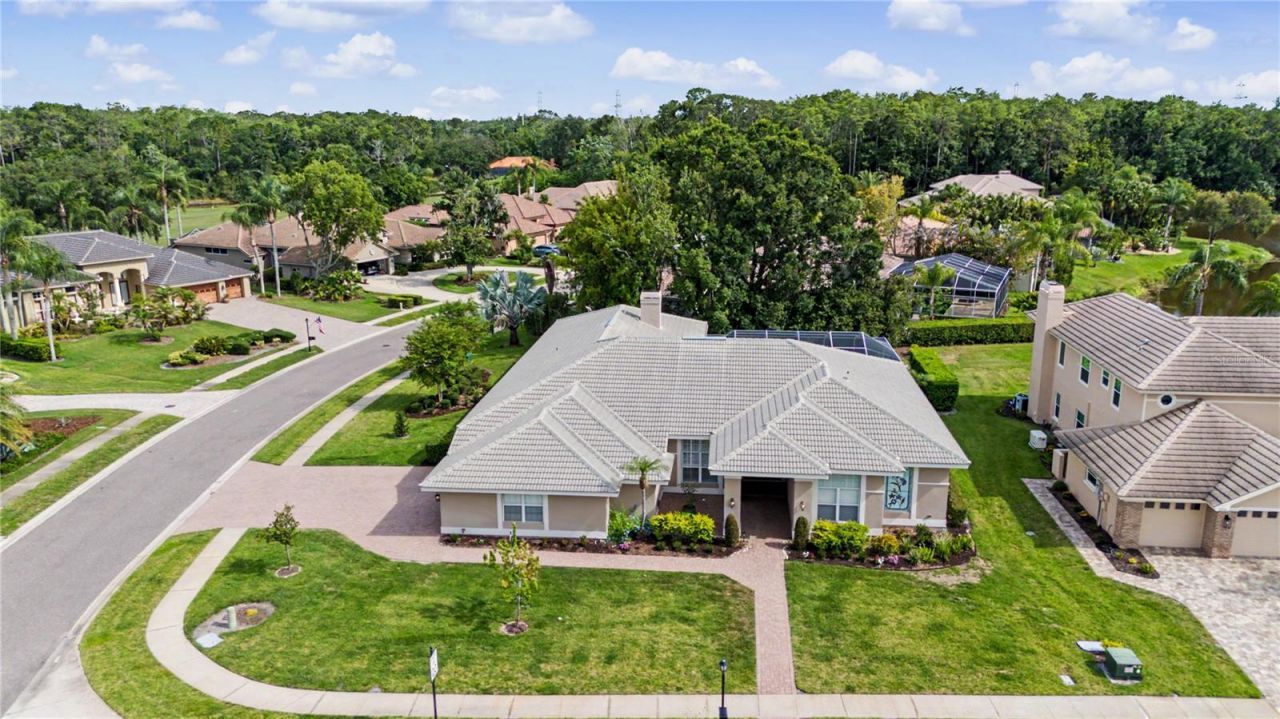 1319 Forestedge Boulevard, Oldsmar, FL 34677 Photo