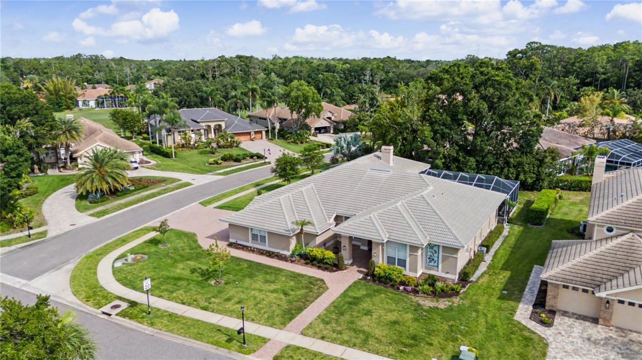 1319 Forestedge Boulevard, Oldsmar, FL 34677 Photo