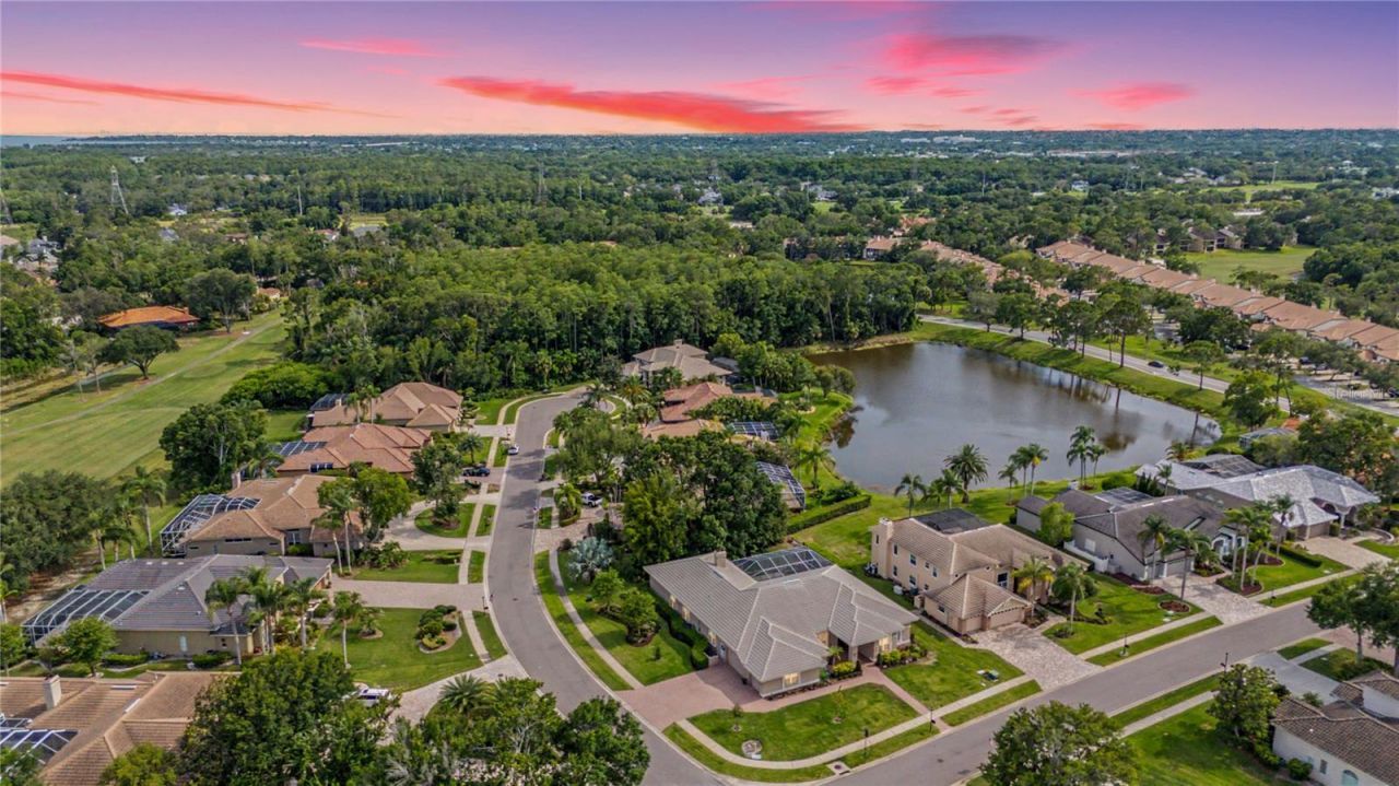 1319 Forestedge Boulevard, Oldsmar, FL 34677 Photo