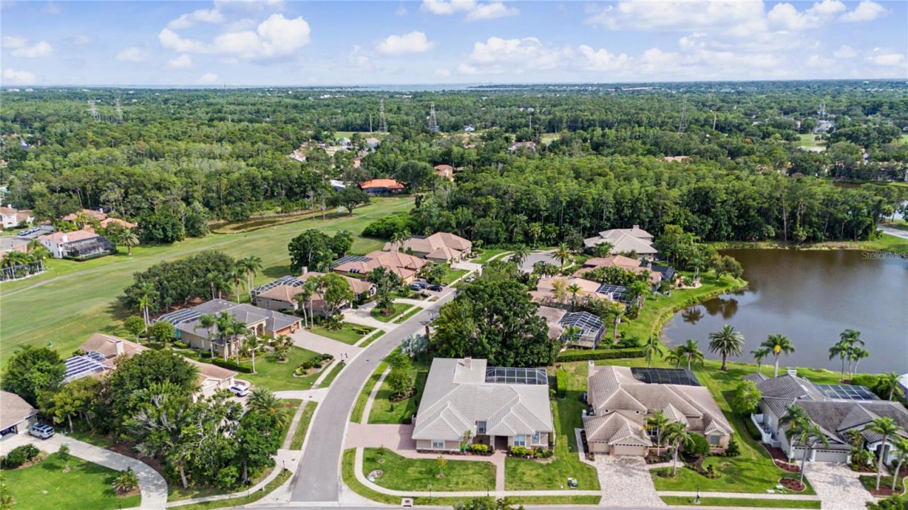 1319 Forestedge Boulevard, Oldsmar, FL 34677 Photo