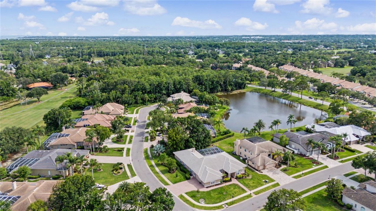 1319 Forestedge Boulevard, Oldsmar, FL 34677 Photo