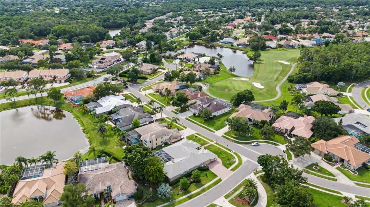 1319 Forestedge Boulevard, Oldsmar, FL 34677 Photo